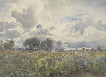 Showery June, Picardy